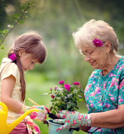 Home care Denver, Senior care Denver, In home care Denver, Home health care Denver